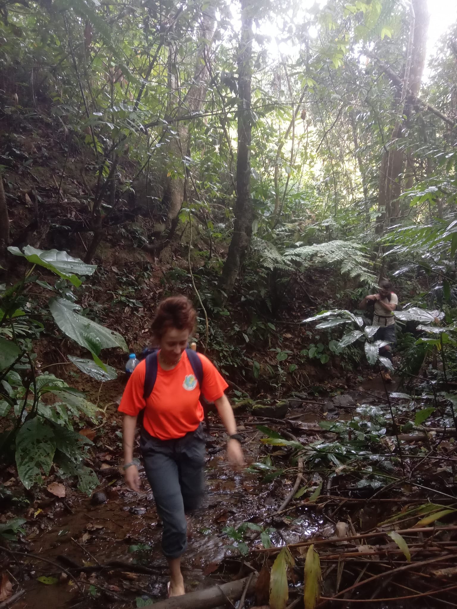 3 Days Luang Namtha Forest Tribe Trekking Tour